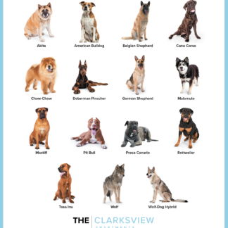 Dog Breed Restrictions Flyer